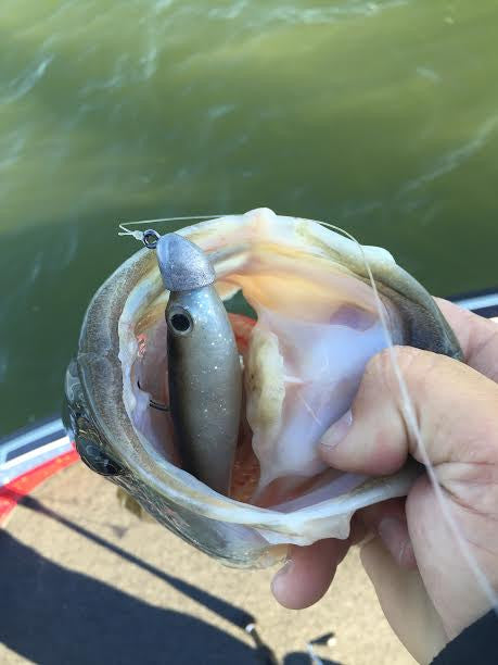 True Bass True Lock Swimbait Heads