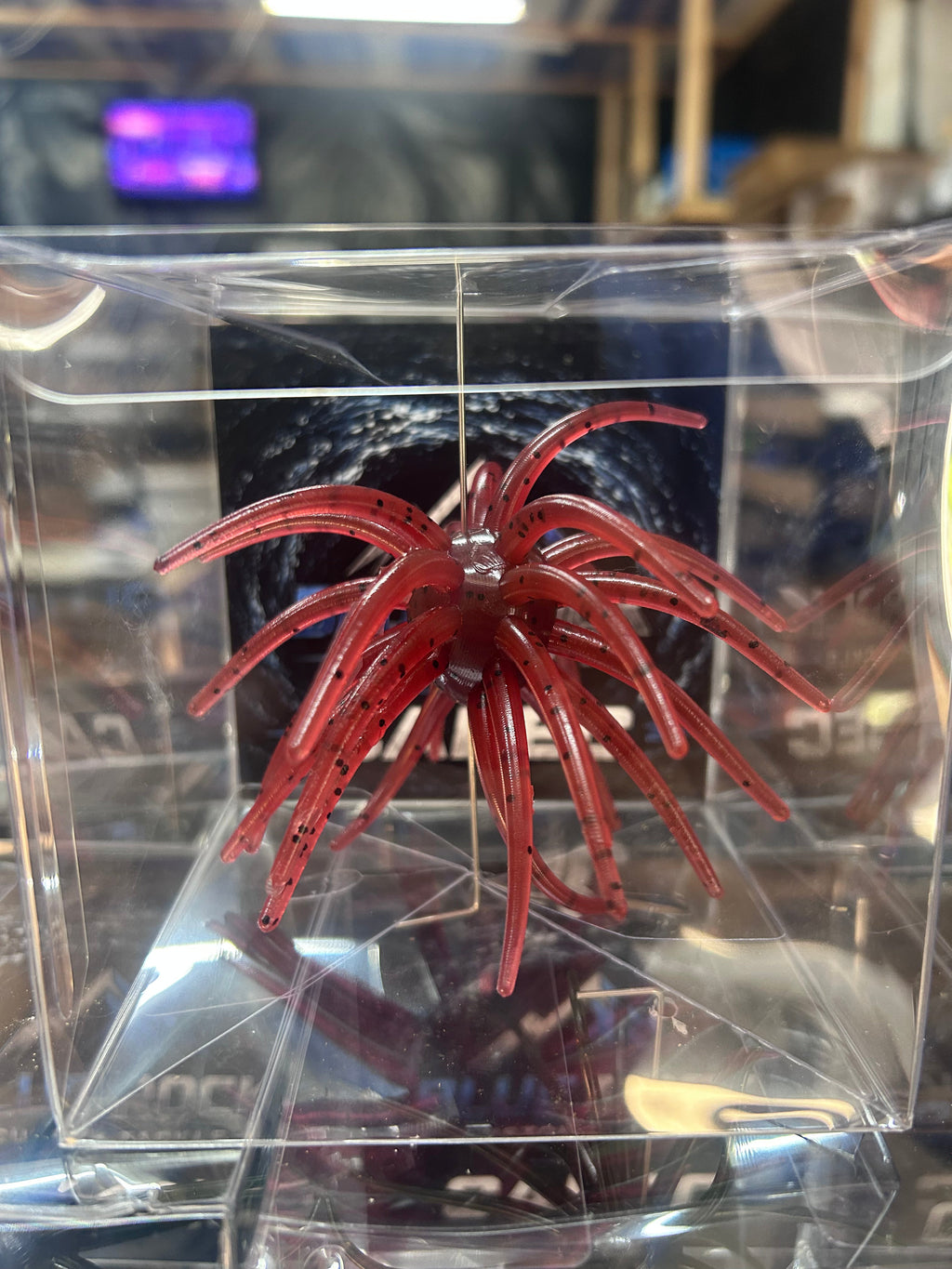 Blue Rock Custom Tackle Urchin 25mm