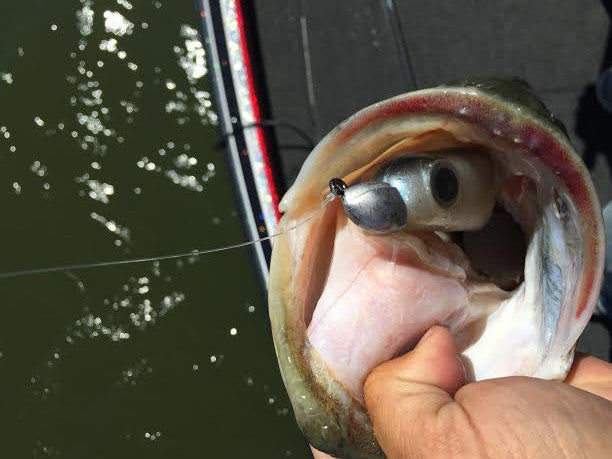 True Bass True Lock Swimbait Heads