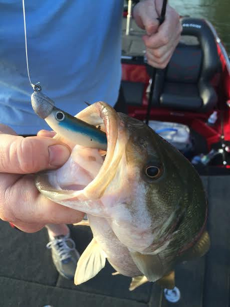 True Bass True Lock Swimbait Heads